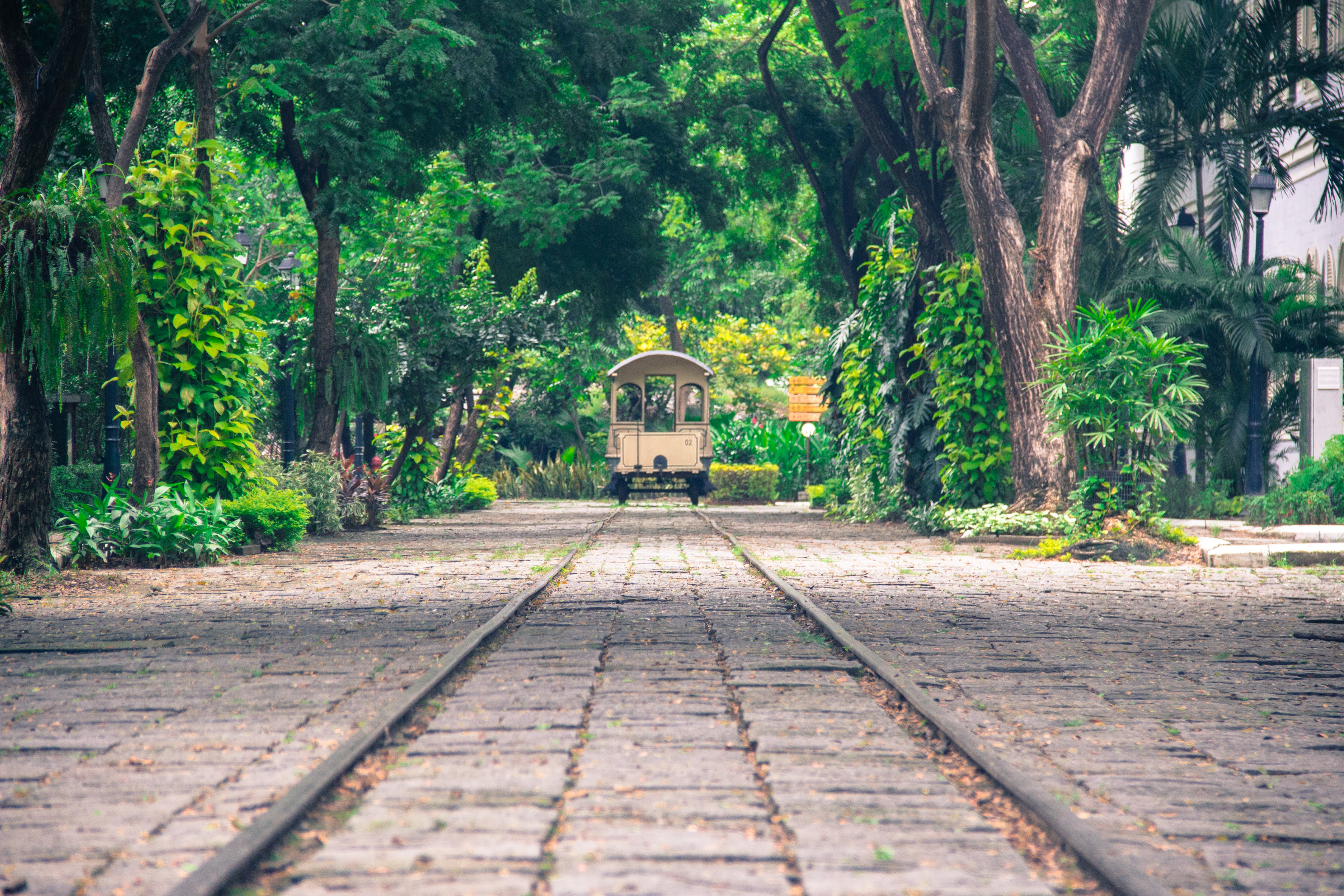 Guayaquil Historical Park 1